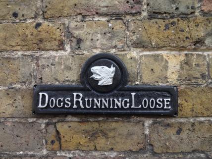 Dogs running loose sign